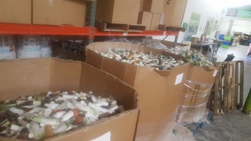 CLEAN THE WORLD, The PENTA CARES Foundation, Volunteering