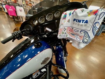 Collaboration Center Foundation, PENTA CARES